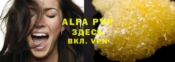 эйфоретик Инта