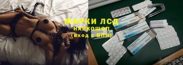 амф Щучье
