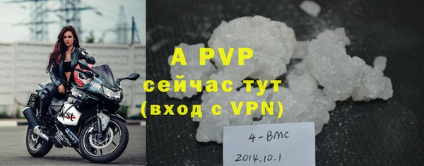 стаф Инсар