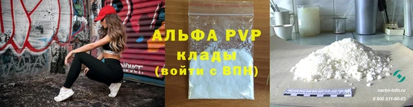 стаф Инсар