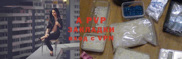 эйфоретик Инта