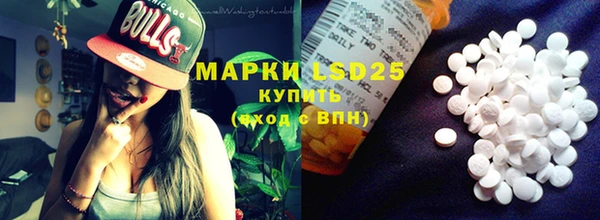 амф Щучье