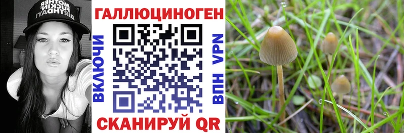 Галлюциногенные грибы ЛСД  Купить закладки  Добрянка 